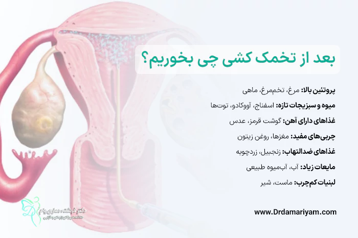 بعد از تخمک کشی چی بخوریم؟