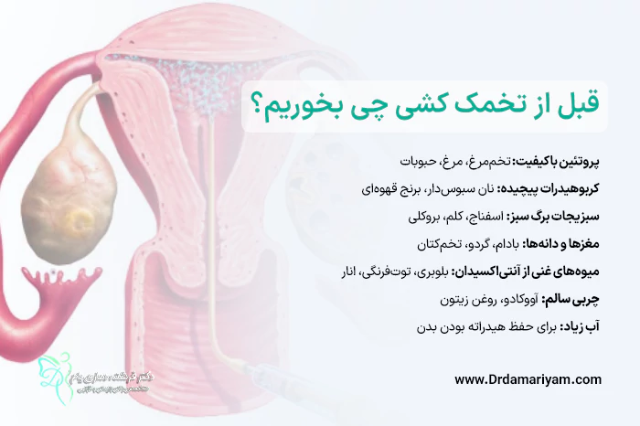 قبل از تخمک کشی چی بخوریم؟